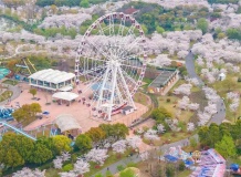 中建山水雅境沙盘图相册