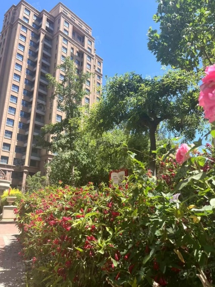 渤龙北苑实景图