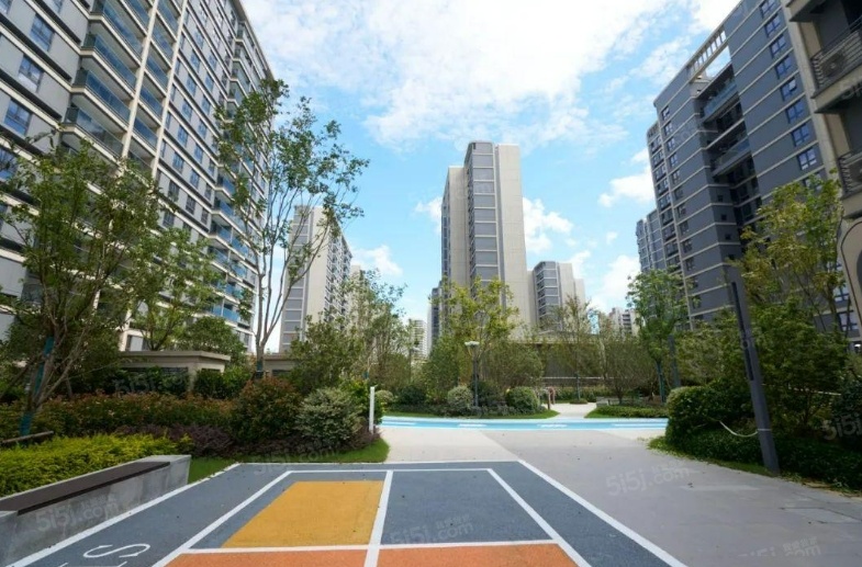 上实听海实景图