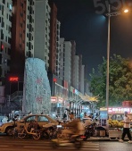 金地·藝墅家风华印开发商营业执照相册