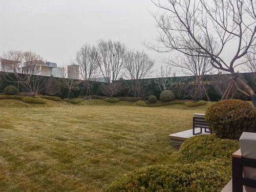 星耀未来第10张图