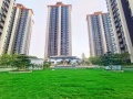 泗泾绿中海实景图相册大图