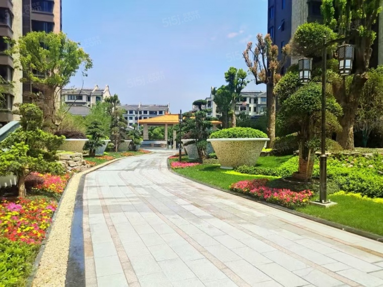 泗泾绿中海实景图