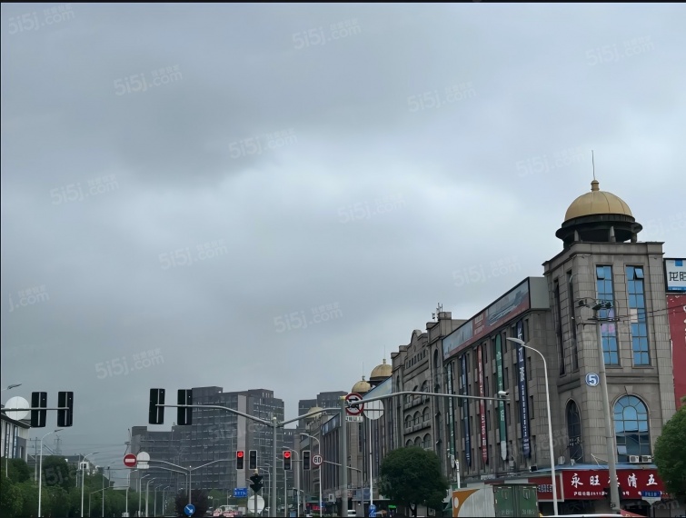 泗泾绿中海配套图