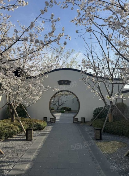 建发金茂观宸实景图