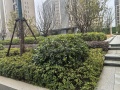 银亿朗境实景图相册大图