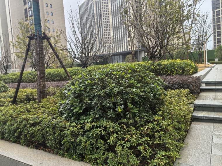 银亿朗境实景图