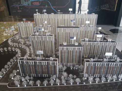 中海·丽金府第16张图