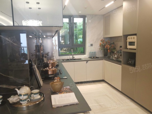 中海·丽金府第5张图