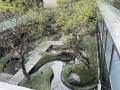 金基璟樾府实景图相册大图