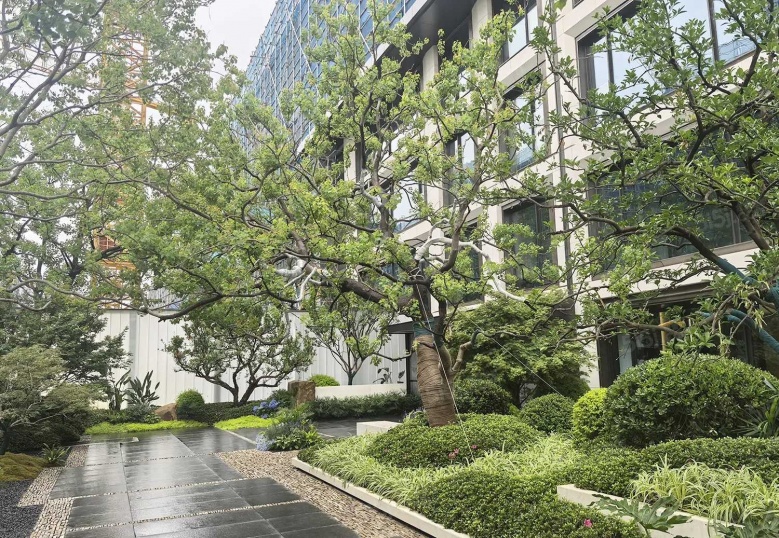 金基瞻月府实景图