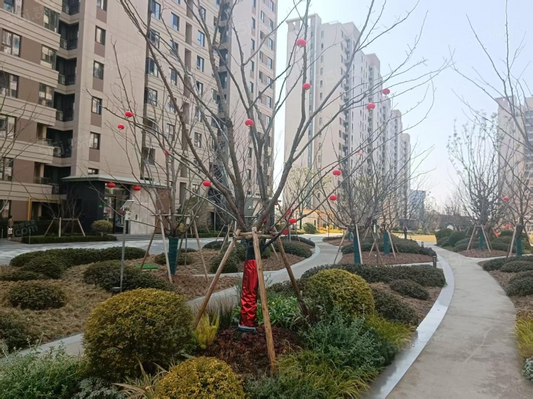 雅戈尔星海云境实景图