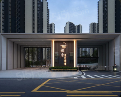 信鸿学府