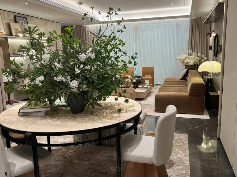 华润臻澐样板间