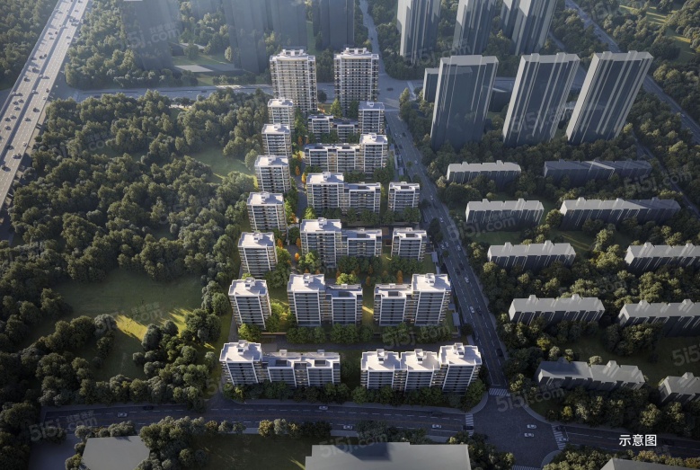 万科东庐效果图