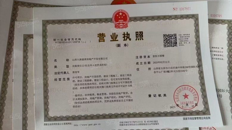 内城玖号开发商营业执照