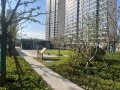 兰溪樾府项目现场相册大图