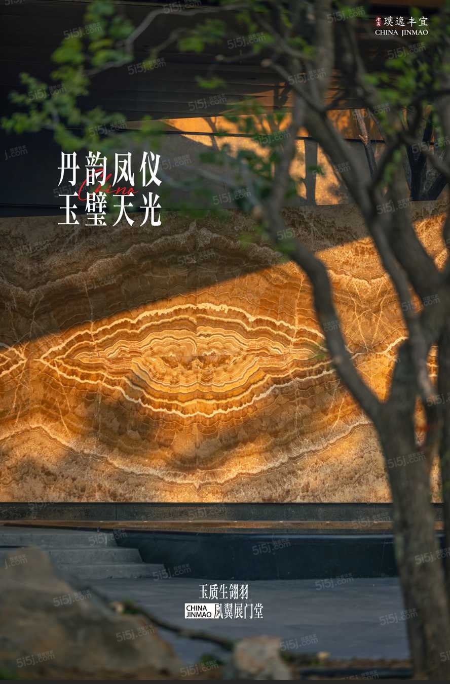 金茂璞逸丰宜实景图