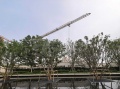 招商序实景图相册大图