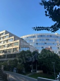 青成大厦