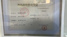 绿都东澜府（绿都广州路壹号）开发商营业执照相册