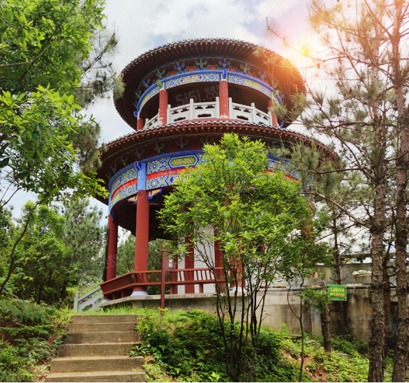 宏泰四季花城配套图