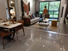 祥生府开发商营业执照相册