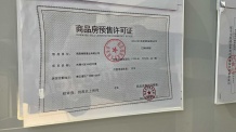 绿都东澜府（绿都广州路壹号）开发商营业执照相册