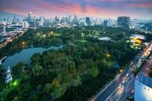 祥生府开发商营业执照相册