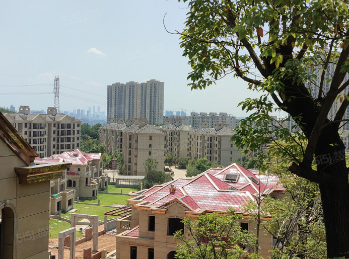 宏泰四季花城实景图