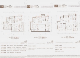 4室2厅3卫户型图