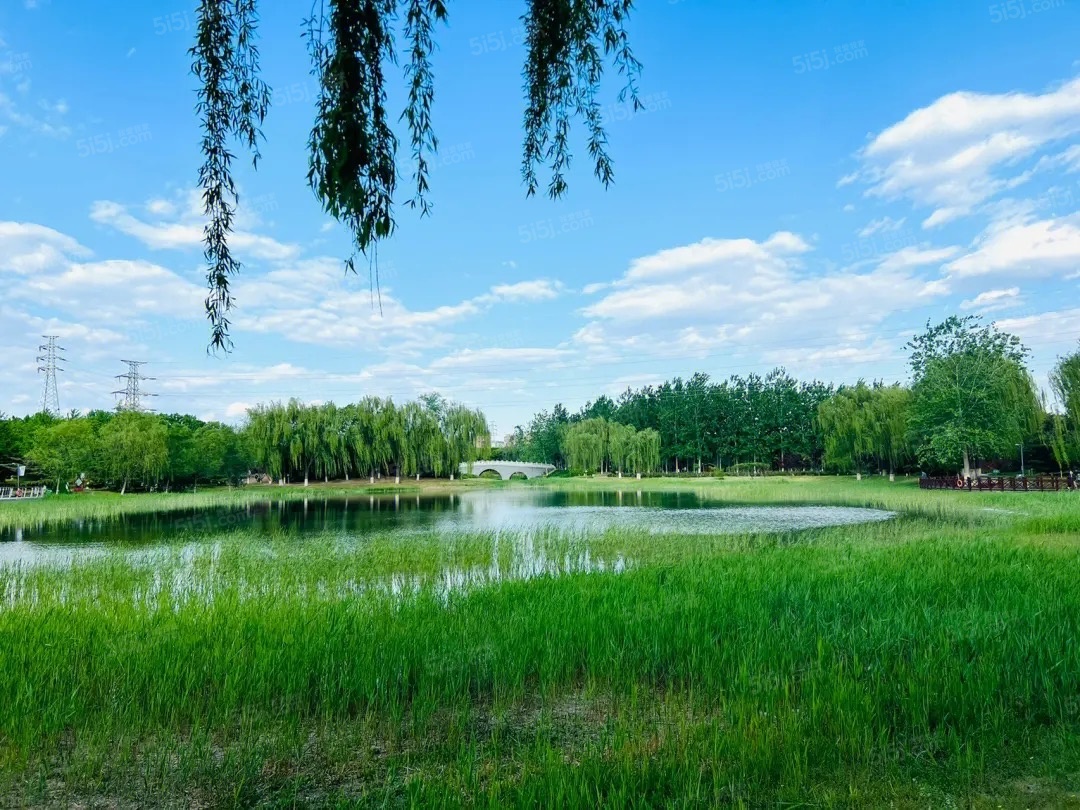 大兴发展·梧桐府配套图