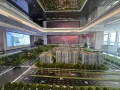 大兴发展·梧桐府项目现场相册大图