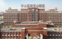 中環置地中心望雲沙盘图相册