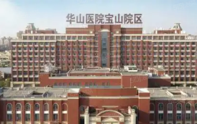 中環置地中心望雲配套图