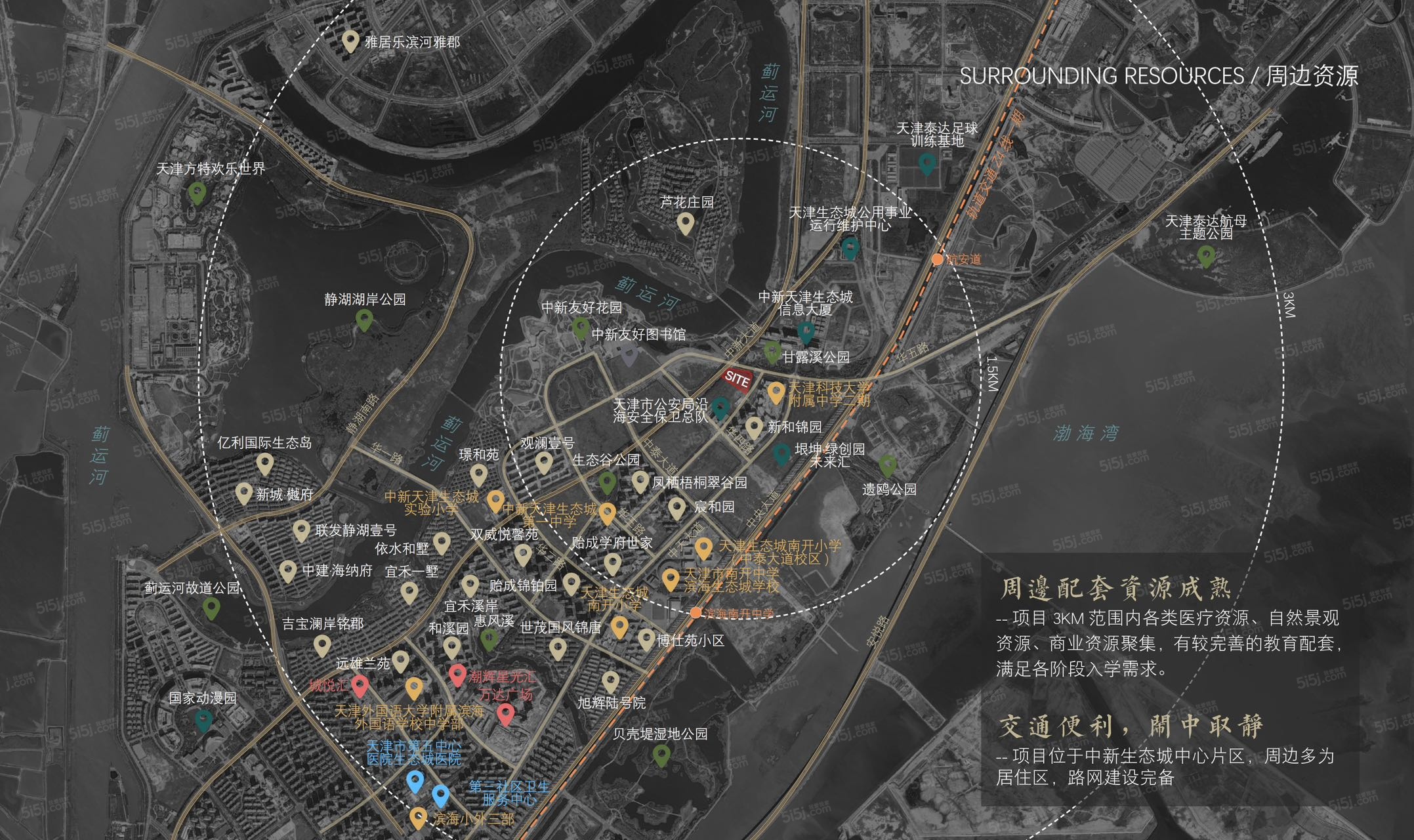 领航名著配套图