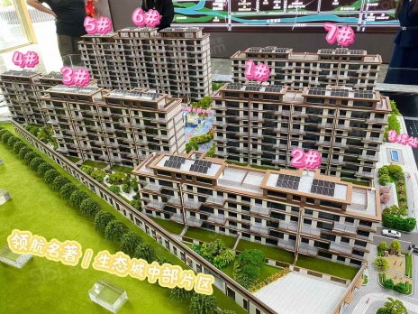 楼栋