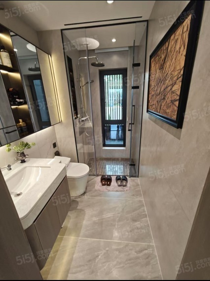 金茂泮湖满庭样板间