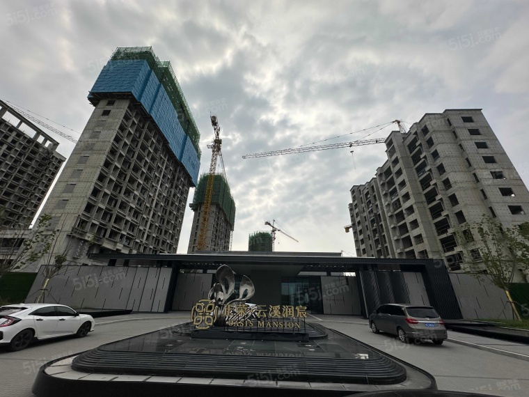正荣云溪润宸实景图