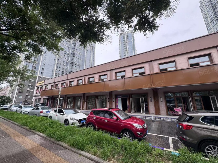 大运河合满街实景图