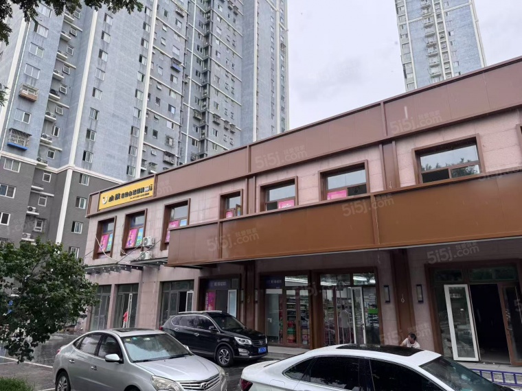 大运河合满街实景图