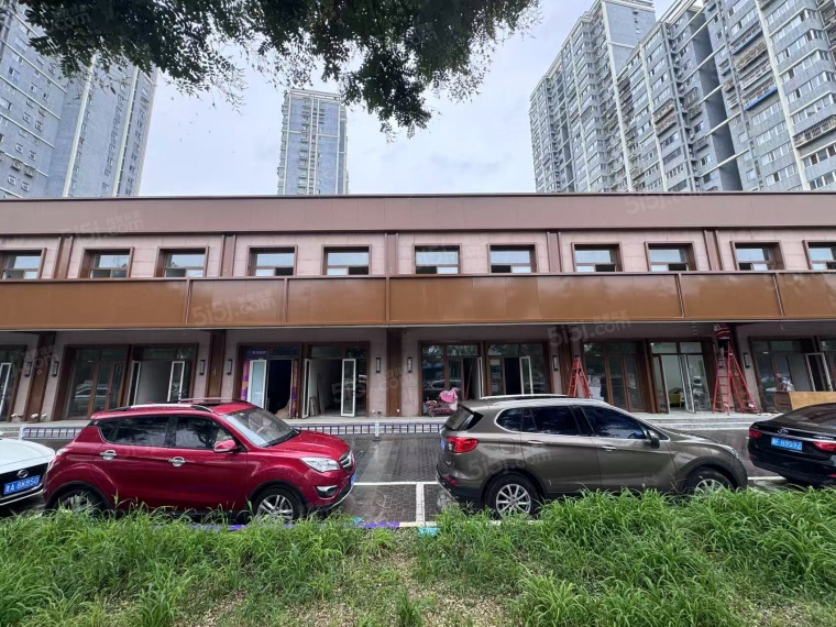 大运河合满街实景图