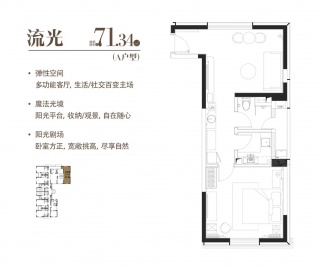 明园徐汇芯著1室1厅1卫