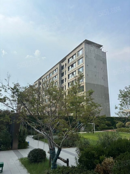 海棠喜舍项目现场