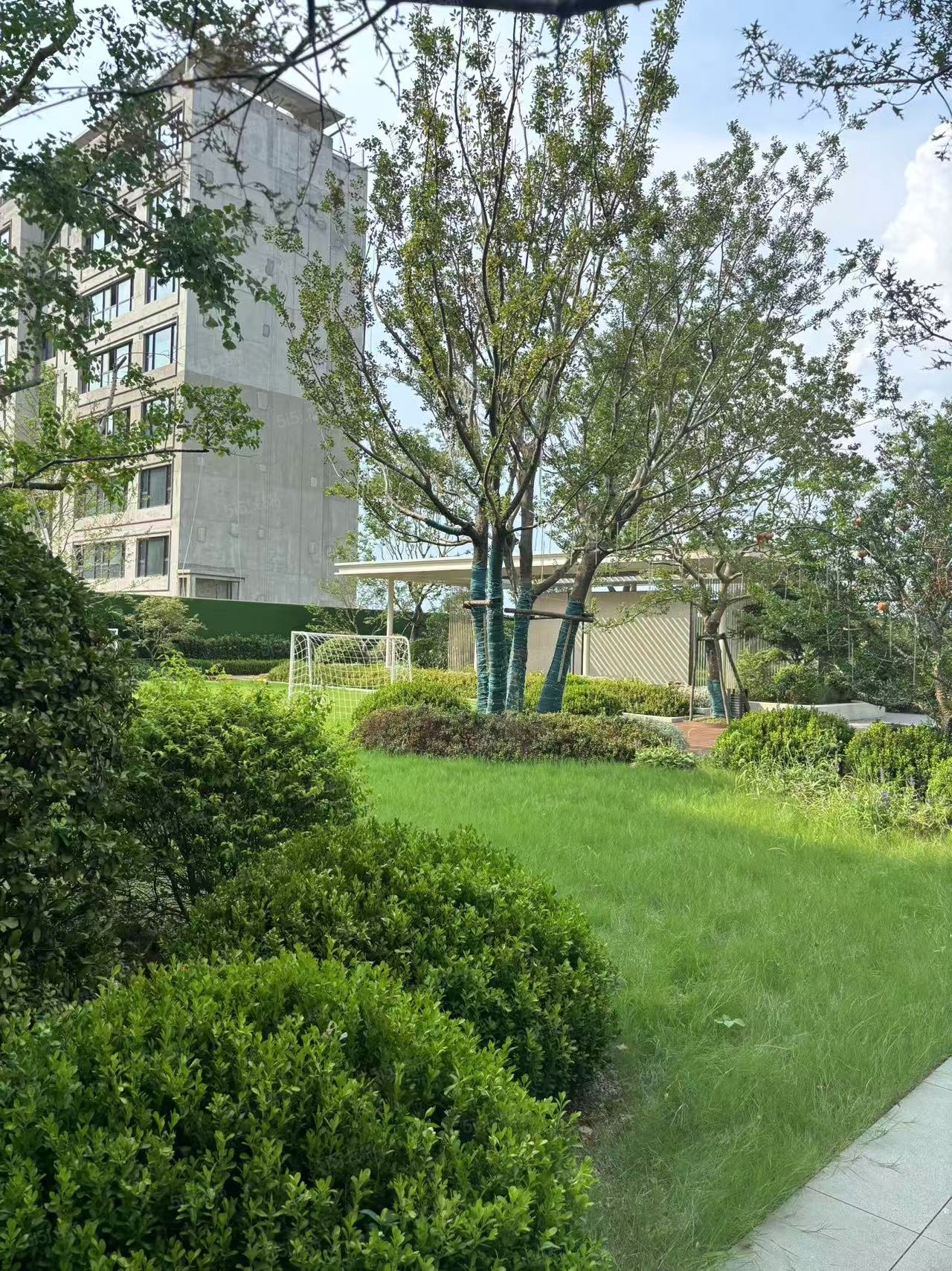 海棠喜舍实景图