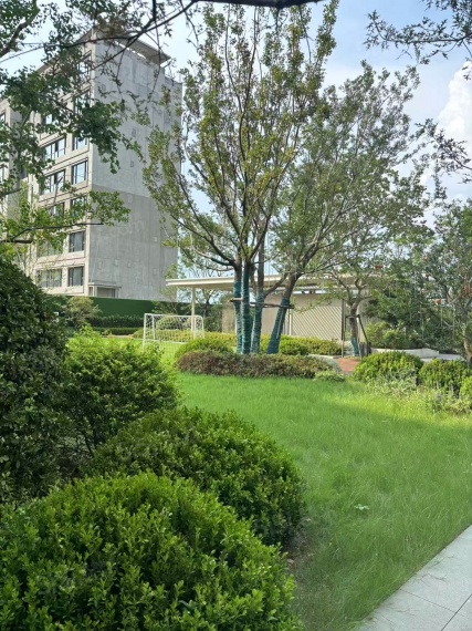 海棠喜舍实景图