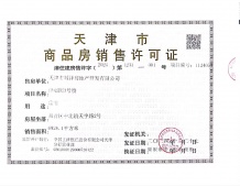 城投水西东方天宸开发商营业执照相册