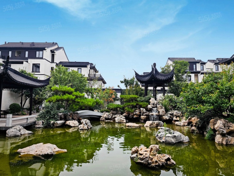 春风如苑实景图