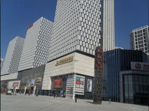 金地清峯上开发商营业执照相册