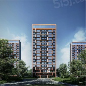 西青城投格调松蕉花园开发商营业执照相册